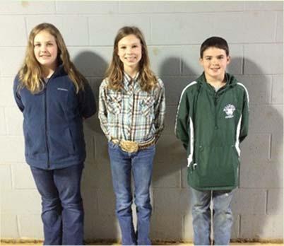 These 4-H members evaluated cattle, sheep, hogs, and goats.