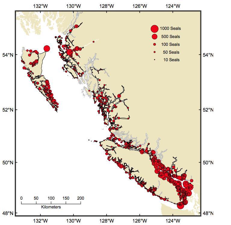 Figure MH-9. Distribution of harbor seals in British Columbia. From Marc Trudel, DFO, presentation 1, slide 77.