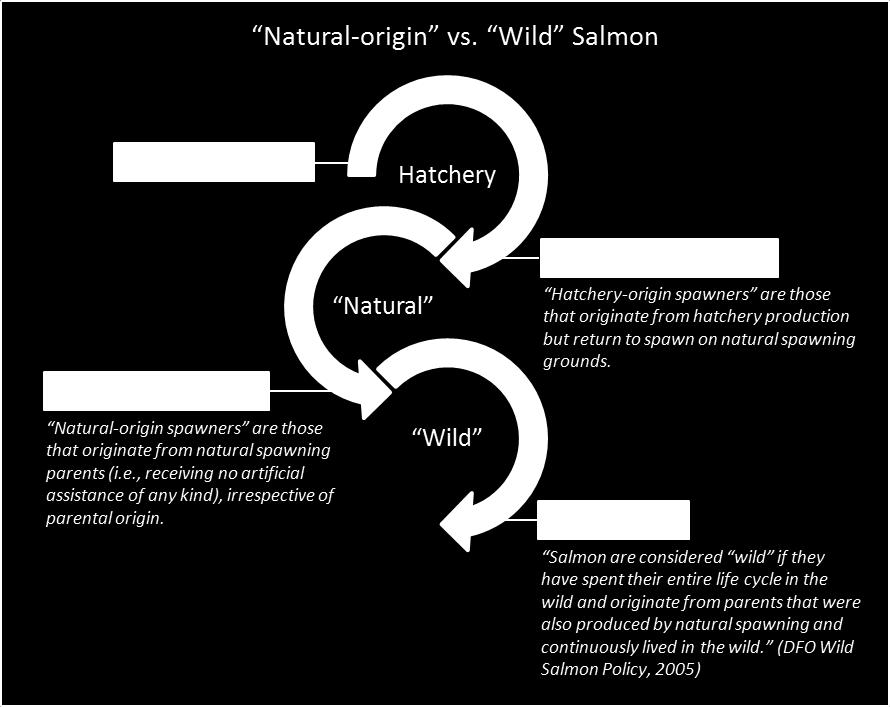 While the need to safeguard wild salmon populations is laudable and essential, the WSP definition of wild salmon raises three very serious issues.