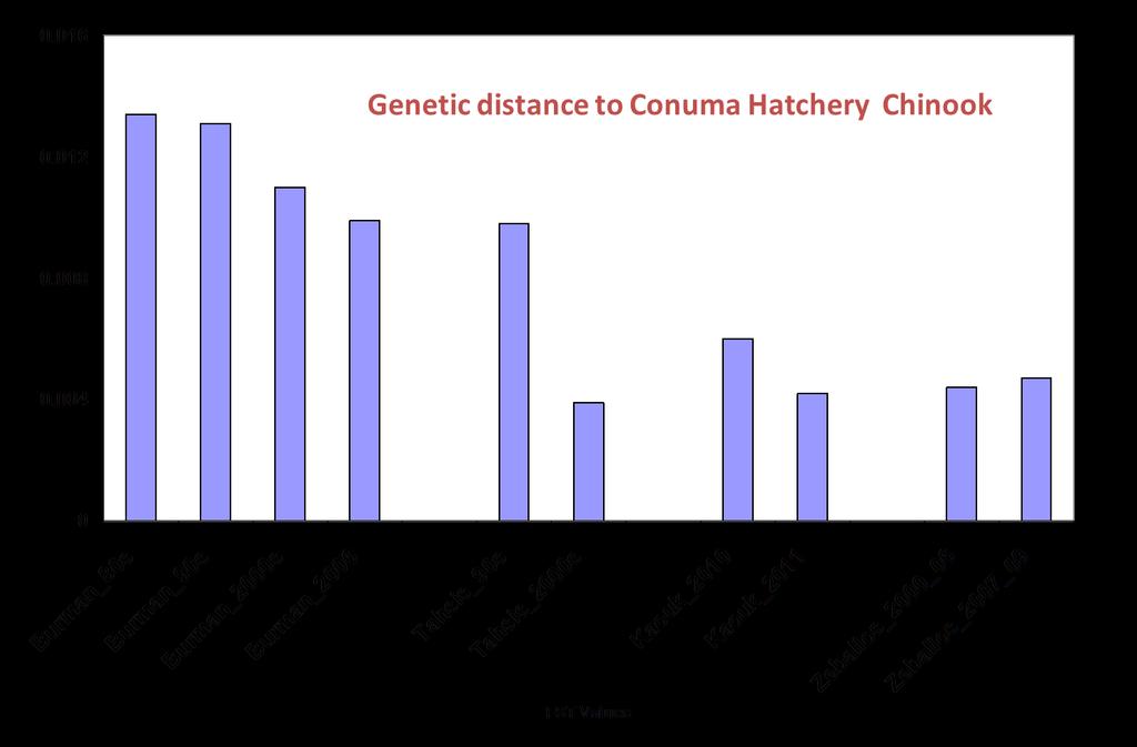 Figure Hat-8. Genetic distance between small unenhanced Chinook salmon populations on West Coast Vancouver Island and Conuma hatchery stock. Source: Ruth Withler, DFO, presentation, slide 57.