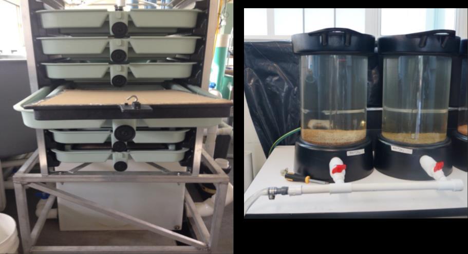 Proposed Pacific Lamprey Artificial Propagation, Translocation, Restoration, and Research Program Figure 5-11. Heath rack (left) and Eager upwelling jars (right) modified for lamprey egg incubation.