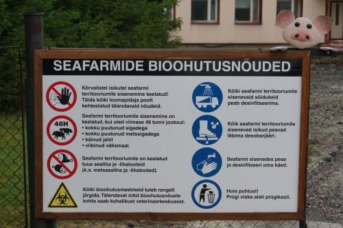 Action and spread of the virus this year (2017) The ASF led to a pigfarm in Pärnumaa county (South of Estonia) in June. 3400 pigs were executed. They area was put in a quarantine and disinfected.