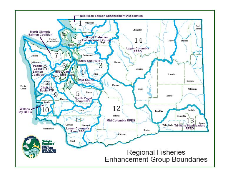 What are Regional Fisheries Enhancement Groups?