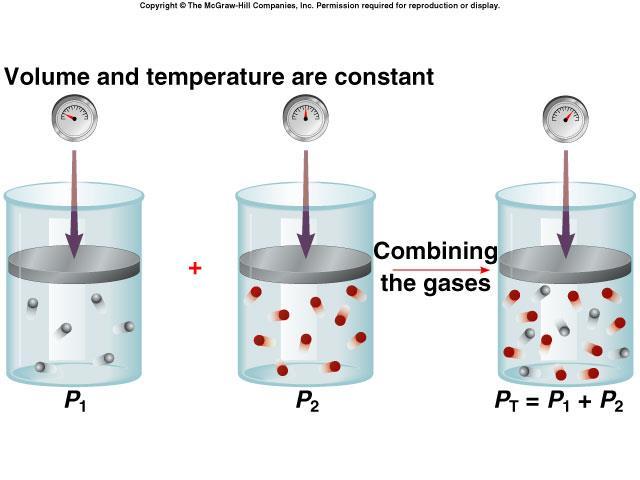 Dalton s Law The pressure of each gas in a mixture is called the partial pressure.