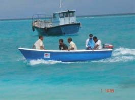 for use in calm waters. Where stronger currents are common, a 10 hp engine could be more suitable.
