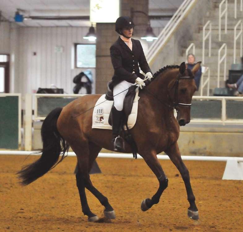 demands of dressage. Certain types of injuries, such as bowed tendons, are common in racing.