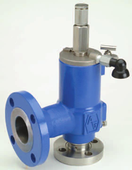 ANDERSON GREENWOOD Provides reliable overpressure protection in a cost effective package.