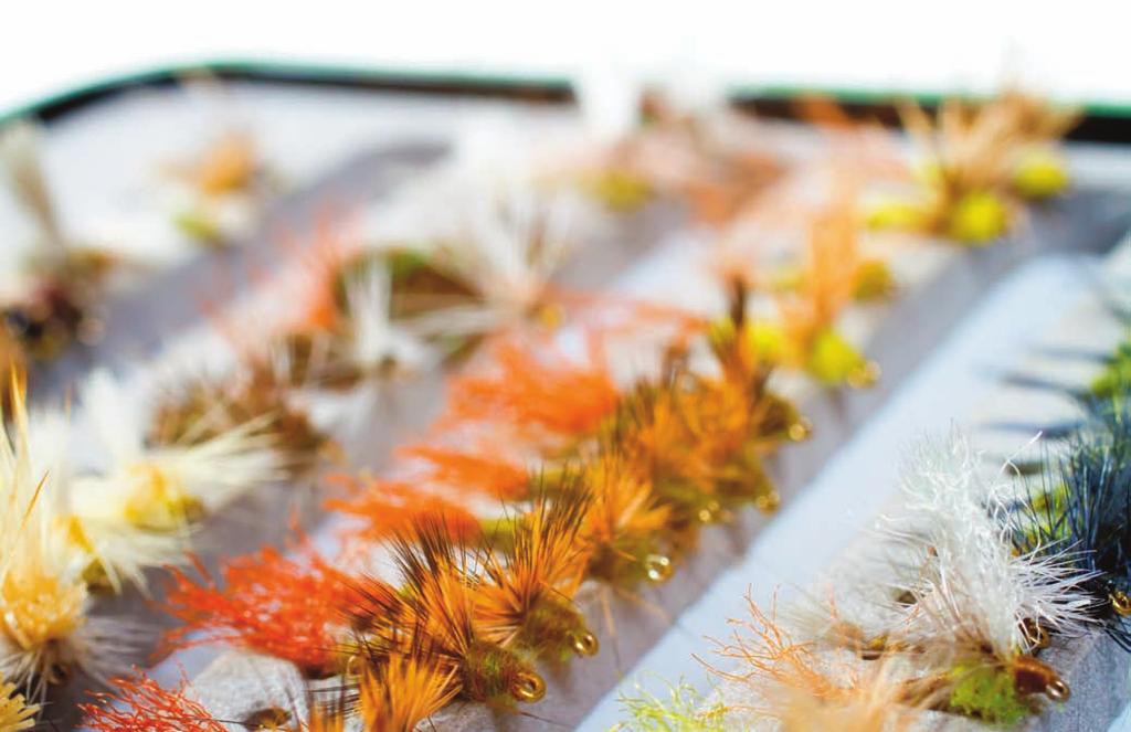 CHAPTER EVENTS It s time to fill your fly boxes! Wednesdays in March Our Fly Tying Nights will continue in 2018. March 7, 14, and 21 to be exact.