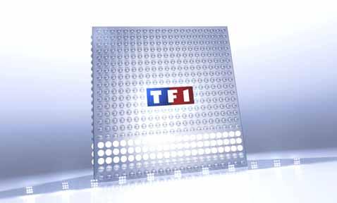 Disclaimer All forward-looking statements are TF1 management s present expectations of future events and are subject to a number of factors and uncertainties that could cause actual