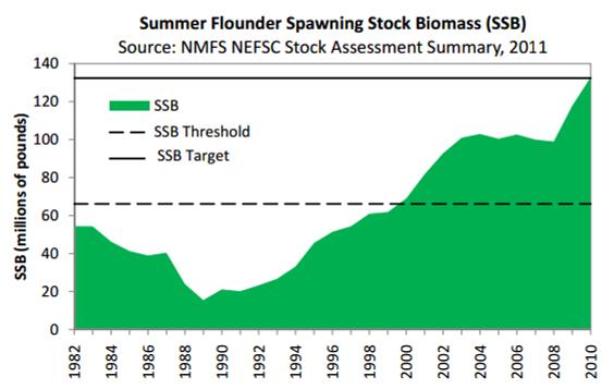 19 Detailed rationale: Figure 9. Summer flounder SSB during 1982-2010. Adapted from (ASFMC 2011).