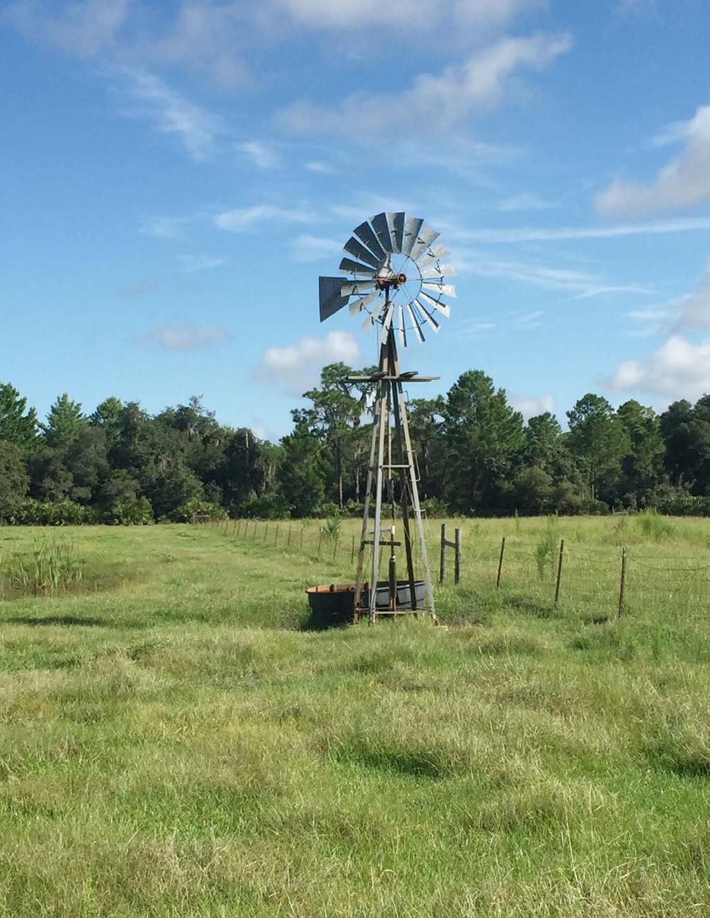 Marston Ranch Fort Meade, FL Polk County 285 +/- Acres Family Compound, Ranching,