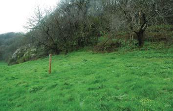Then look out for a wooden post with a coast path marker just off the track to your right. You turn right here towards a stile which is under a tree some 15 yards from the path.