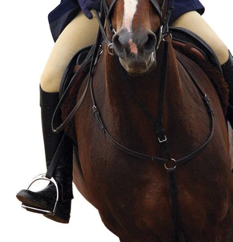 Trot Before You Canter Before even thinking about introducing your students to the canter, consider this age-old wisdom of classical horsemanship: The best way to improve the canter is to improve the