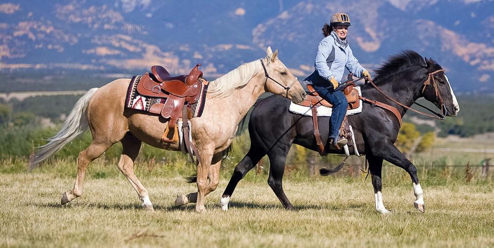 Julie Goodnight (pictured here) is a Master Instructor with the Certified Horsemanship Association. HEIDI NYLAND MELOCCO PHOTO make the horse fear the canter departure and distrust the rider.