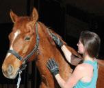 By Julie Goodnight 27 Let s Give Thought to Balance Here are some thoughts on balance and how it affects horses and riders from a CHA lifetime member. By Donald L.
