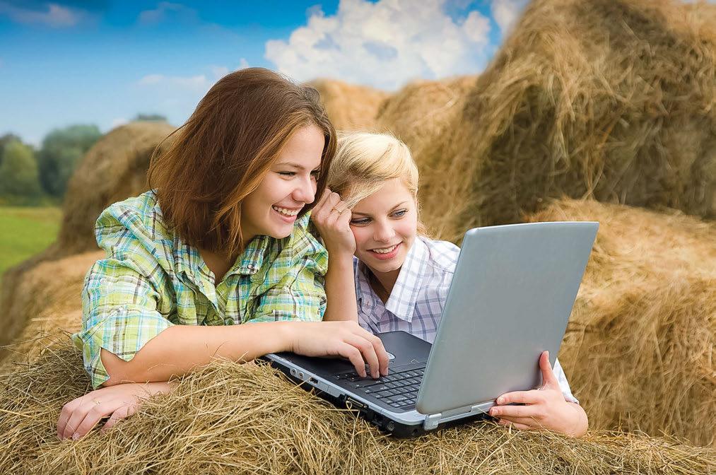 Stable and Farm Marketing 101 There are a lot of ways to market your farm or stable, and many of them don t require large expenditures of dollars; however, they do require your involvement.
