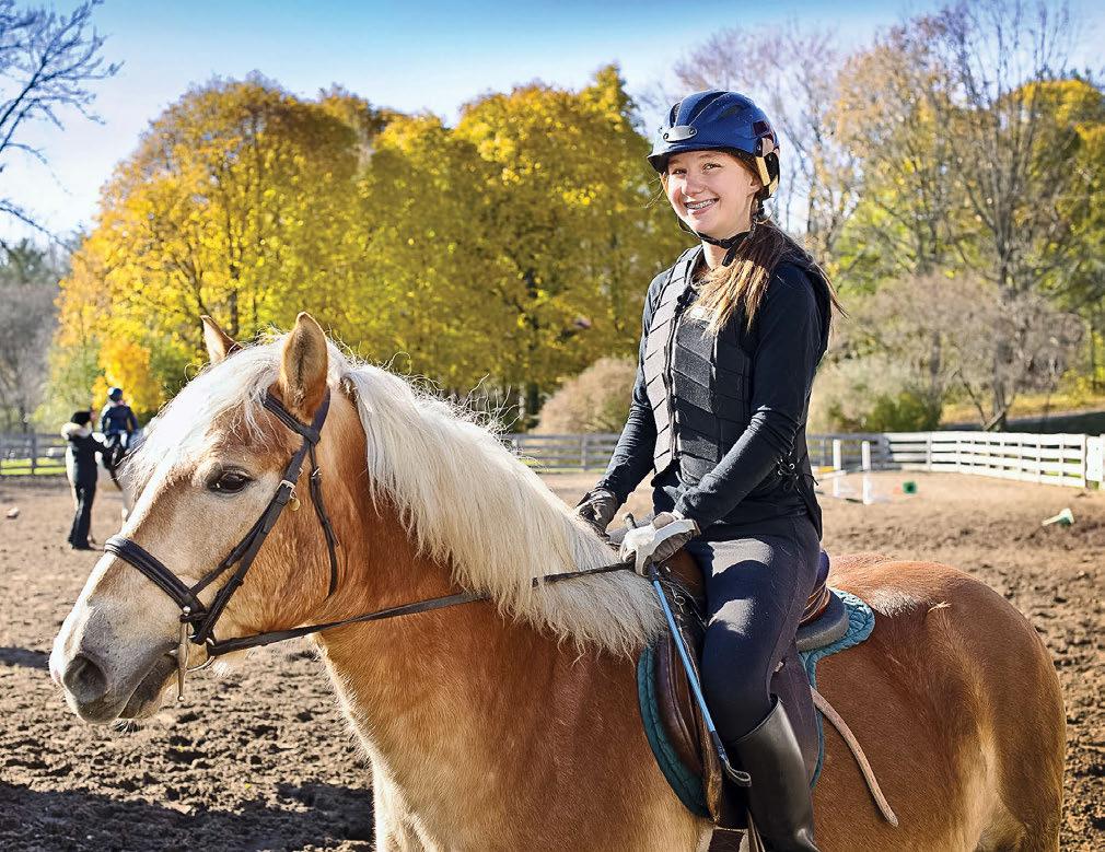 If riding Sandy makes your boarder or student happy, then knowing she can pick Sandy for one lesson a month or the quarterly schooling show will help her work to be a best client.