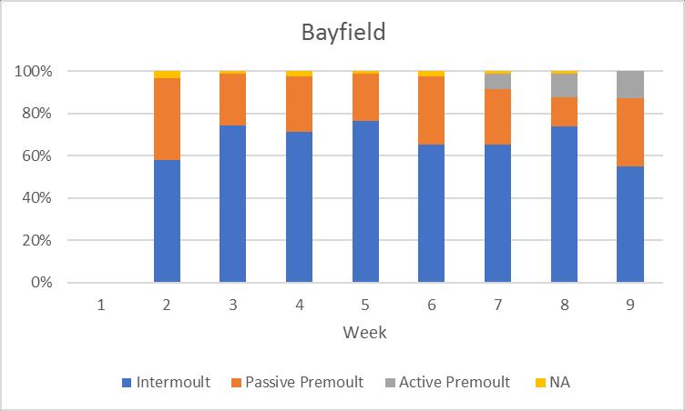 Figure 8. Moult stages by week for Bayfield. NA represents lobsters from the sample that were not staged due to deformities or growth of algae or other life on the outside of the pleopod.