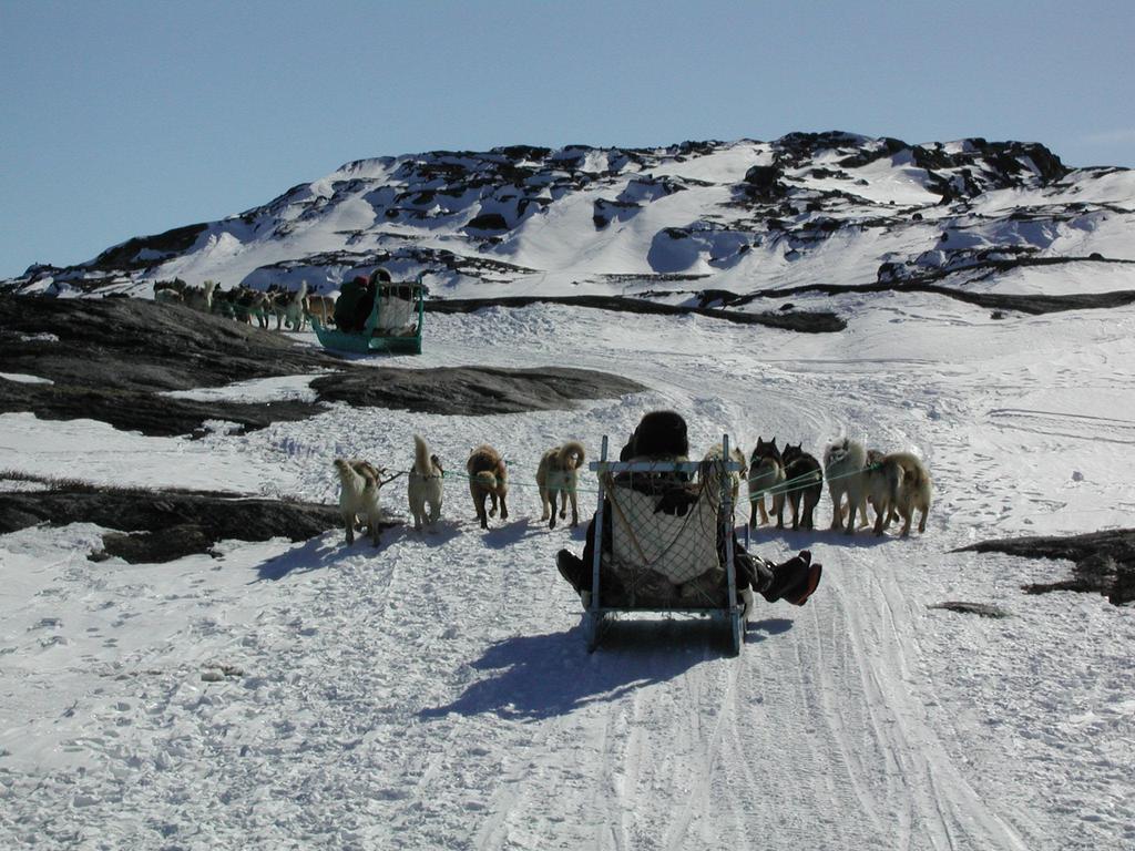 Dog sledges are widely used