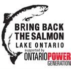 New catch and release fishing opportunities for Atlantic Salmon allowed anglers to target the fish in Lake Ontario s tributaries (FMZs 16 and 17).
