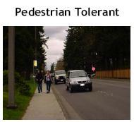 pedestrian environment; Rear lanes to reduce