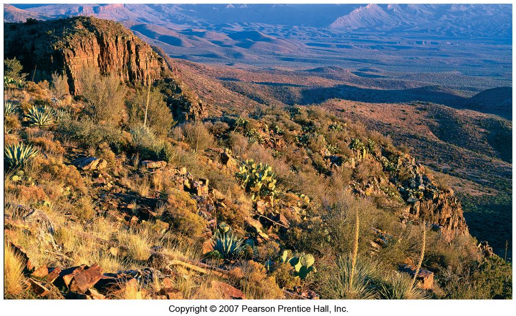 Sonoran desert source