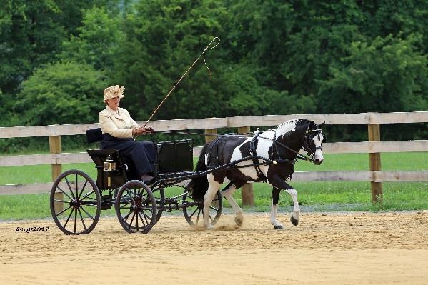 1 The 6 th Annual Morven Park International Equestrian Center Carriage Pleasure Show, Combined Test & Cross Country Pleasure Drive Prize List June 16 & 17, 2018 (Competition Classes held on Saturday
