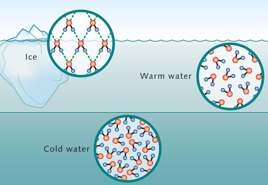When cooling down below 4 C, water expands.