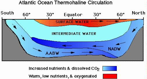 Meanwhile, the Antarctic Bottom Water (AABW) flows into the Atlantic at the bottom.