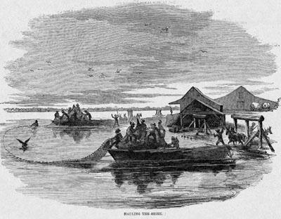 Enslaved Swimmers and Divers http://hitchcock.itc.virginia.