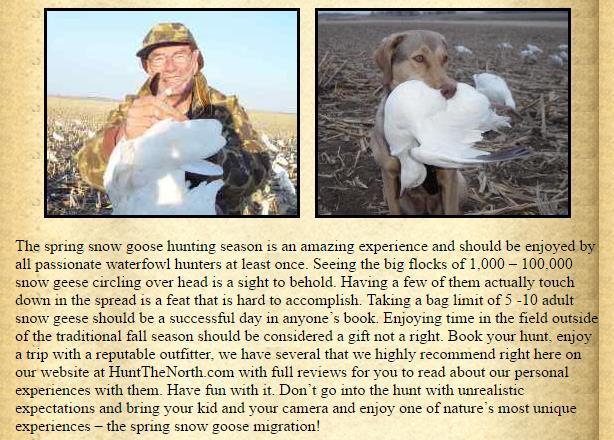 Here is what can and should be expected on a typical day s snow goose hunt: Your guide should meet you on time at a pre-set meeting point. You should have an upbeat guide with a positive attitude.