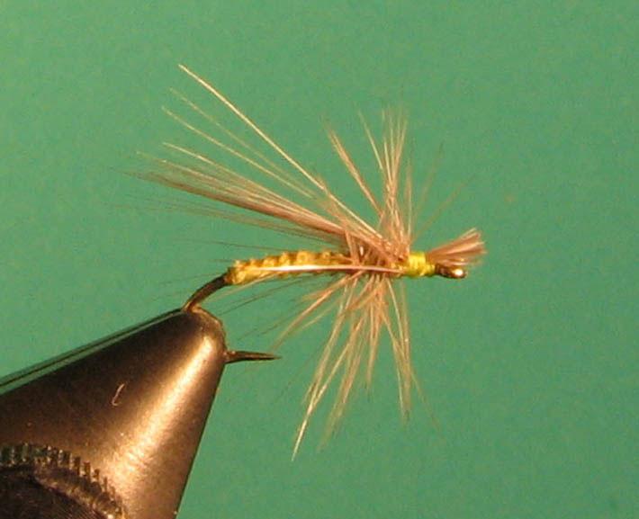 Fibers Hackle: Dun Saddle Hackle Tie this fly sparsely.