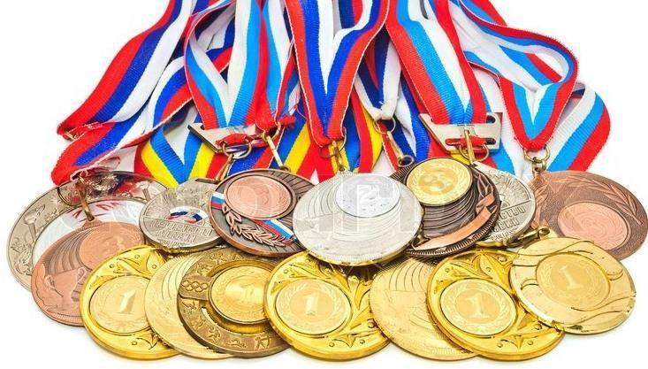 46 MEDAL TALLY FOR THE YEAR 2015-16.