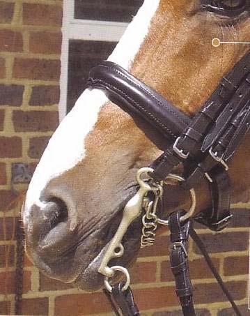 Combinations Full Bridle: Includes