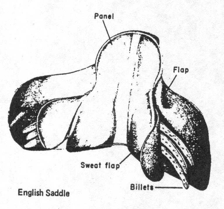 Schematic Of English Saddle