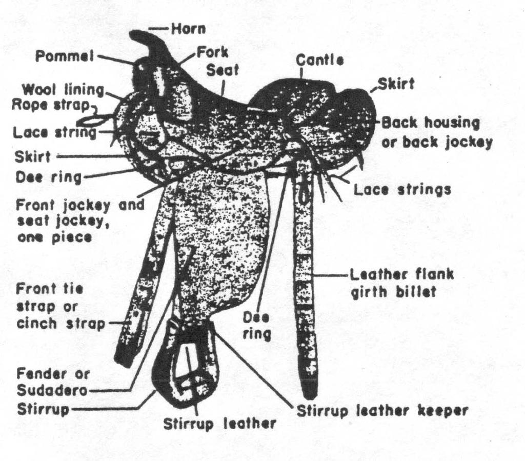 Schematic Of Western Saddle