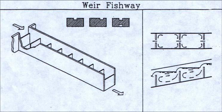 flow flow Fishway Fishway Exit Exit Typical Typical weir weir sections sections Center Side over- Center overflow weir Center flow Side over- weir and Center orifice overflow weir flow weir