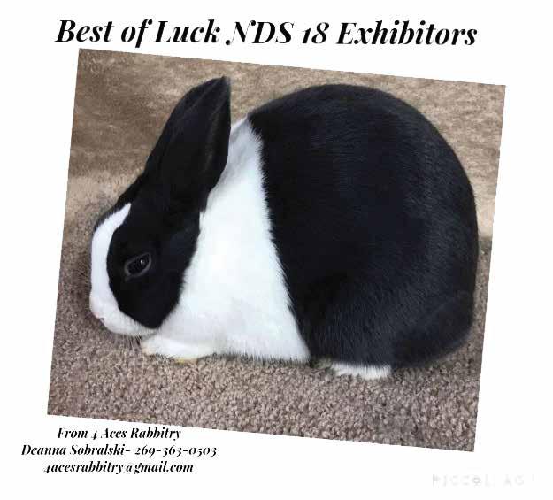 Rabbit Raffle MDRC is pleased to announce the generous Dutch breeders donating rabbits to our rabbit raffle: Kevin Hooper Al Gerhart Eric Mixdorf Tommy D Dietrich Debbie Athey Beth Biester Please