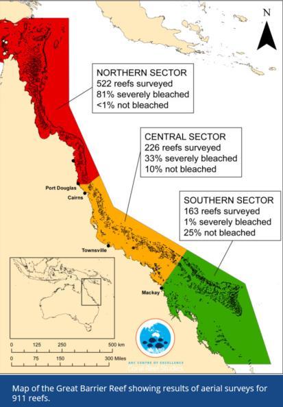 the reefs we surveyed, only 7% (68 reefs) have escaped bleaching entirely.