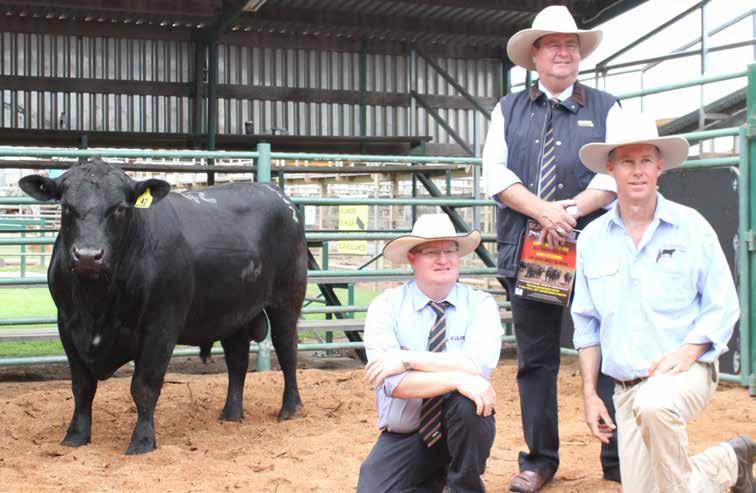 Burenda & sired steers win impressively - A pen of steers from Gary Walsh Winwood Eidsvold won the Champion Pen of steers on the 12th May at the Eidsvold Show Steer Sale.