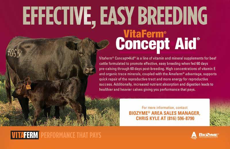 PREVENTATIVE MEDICINE PROGRAM Cows and Heifers prior to Breeding Vira Shield 6 + VL5 HB (Elanco) Multimin 90 Dectomax Pour On Wormer (Zoetis) Valbazen Drench (Zoetis) Cows