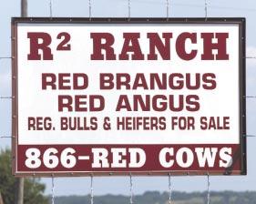 629-0779 (973) 216-5289 (210) 389-3008 R2 Ranch, LLC For More Information, Contact: Doug Marburger, R2 Ranch Manager 800 R2 Ranch Rd.