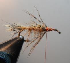 Make 1 to 1½ turns of hackle to represent legs Tie off and trim the waste. Dub the thorax with the darker dubbing mix.