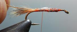 Tail should be ⅓ to ½ hook shank in length. 3.
