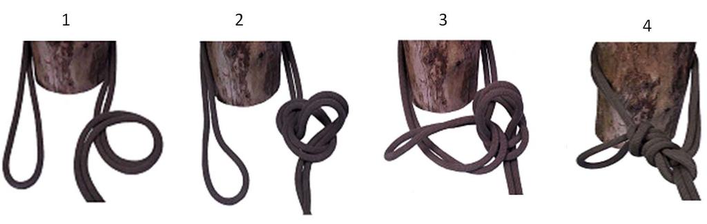 THREE LOOP BOWLINE: (Class 4, Special Knot): Purpose: To form three fixed loops in a rope. Normally used as an anchor knot. Step 1: Form a bight in the middle of the rope.