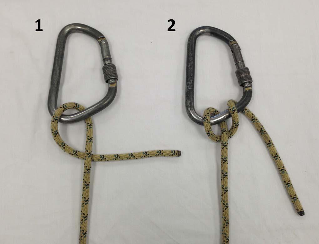 MUNTAR HITCH: (Class 4, Special Knot): Purpose: To form a mechanical belay. Step 1: Hold the rope in both hands, the right palm up and the left palm down.