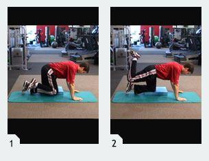 Leg Only Bird Dog Start in the quadruped position (all fours) with arms and thighs perpendicular to the floor and one knee elevated on an airex pad or pillow.