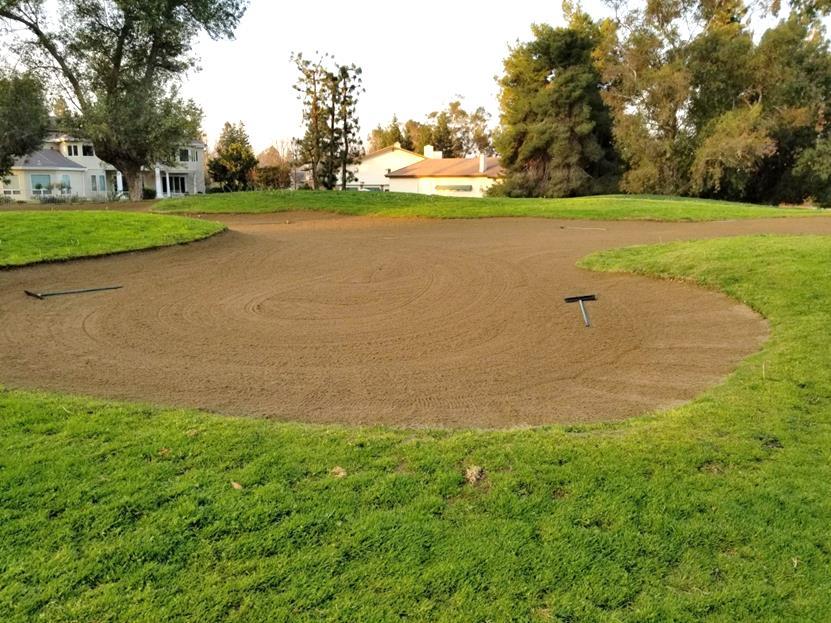 I have instructed staff to place the rakes further in the bunkers as shown in this picture.