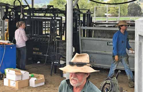 HYBRID VIGOUR AND SELECTION FOR ECONOMIC TRAITS The Hicks Beef bull sales give beef producers the opportunity to use science to increase their profits with the benefits of a breeding program using