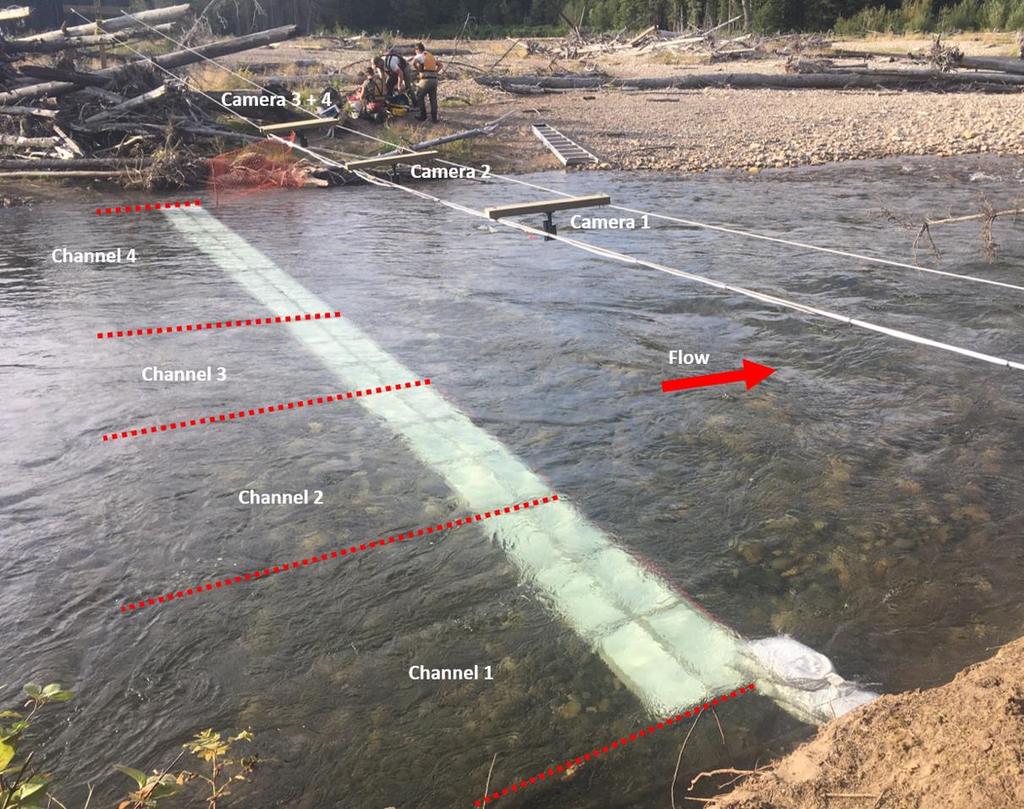 Figure 4. Configuration of the resistivity counter sensor pads and camera system in the Chowade River, 2016.